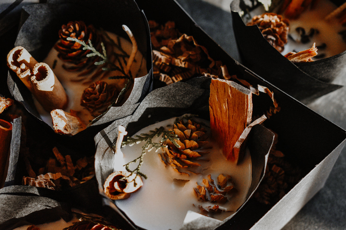 BONFIRE FIRE STARTERS - Gift box