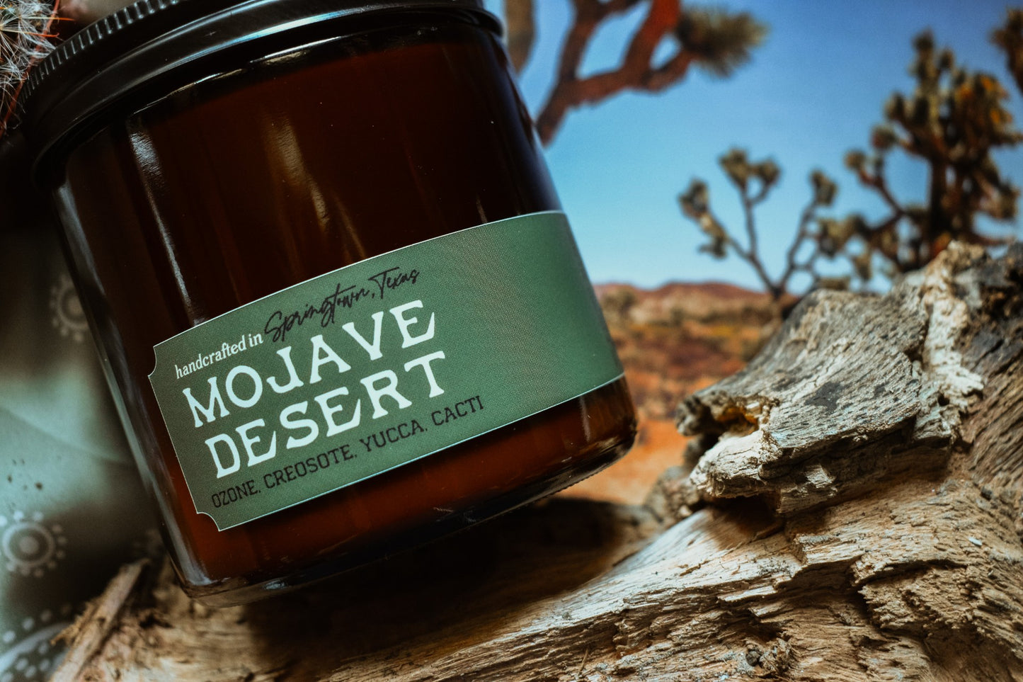 MOJAVE DESERT - Yucca, Creosote, Cacti