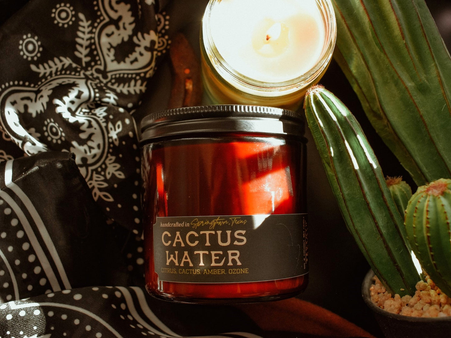 CACTUS WATER - Citrus, Cactus, Amber, Ozone