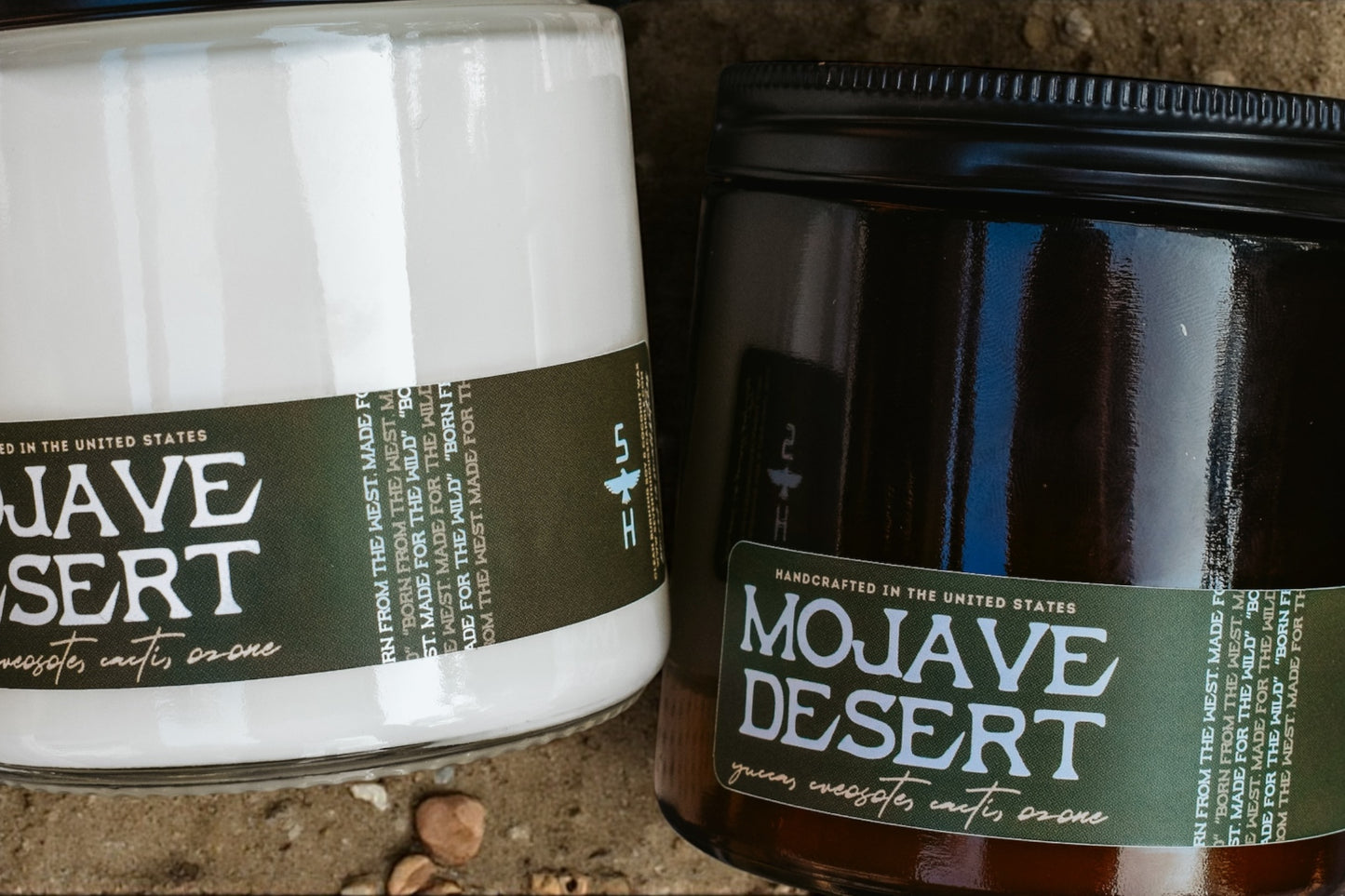 MOJAVE DESERT - Yucca, Creosote & Cacti