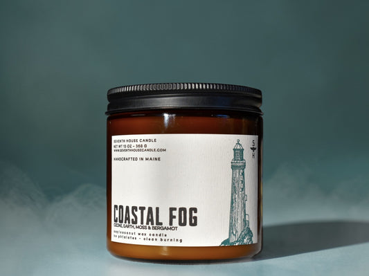 COASTAL FOG - Ozone, Earth & Moss