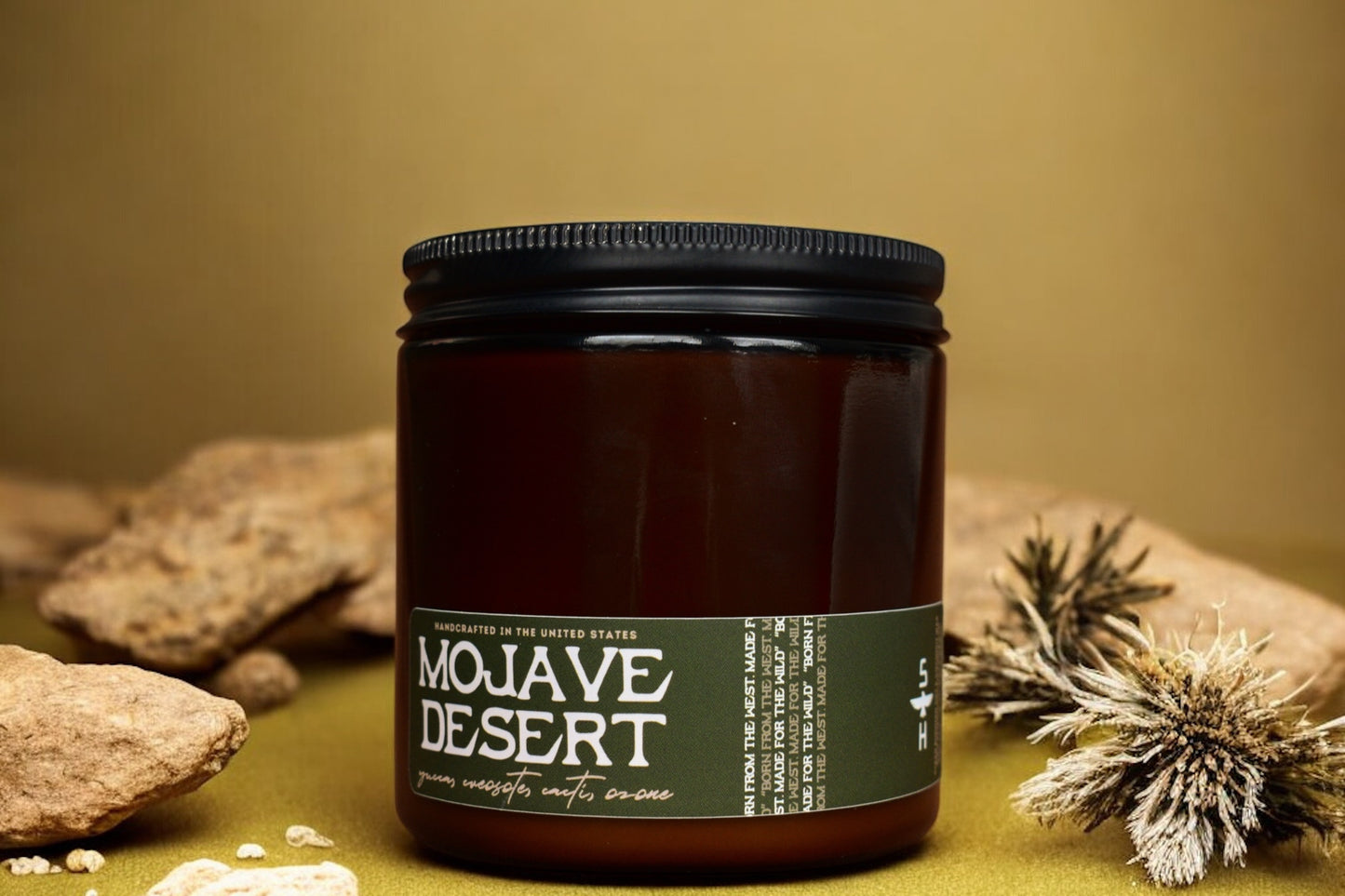 MOJAVE DESERT - Yucca, Creosote & Cacti