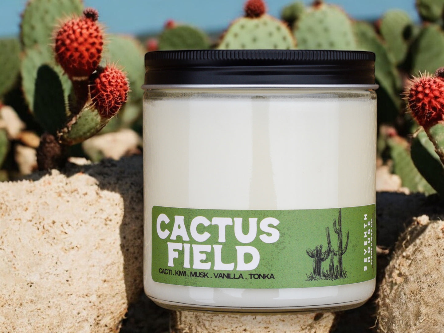 CACTUS FIELD - Kiwi, Citrus & Tonka