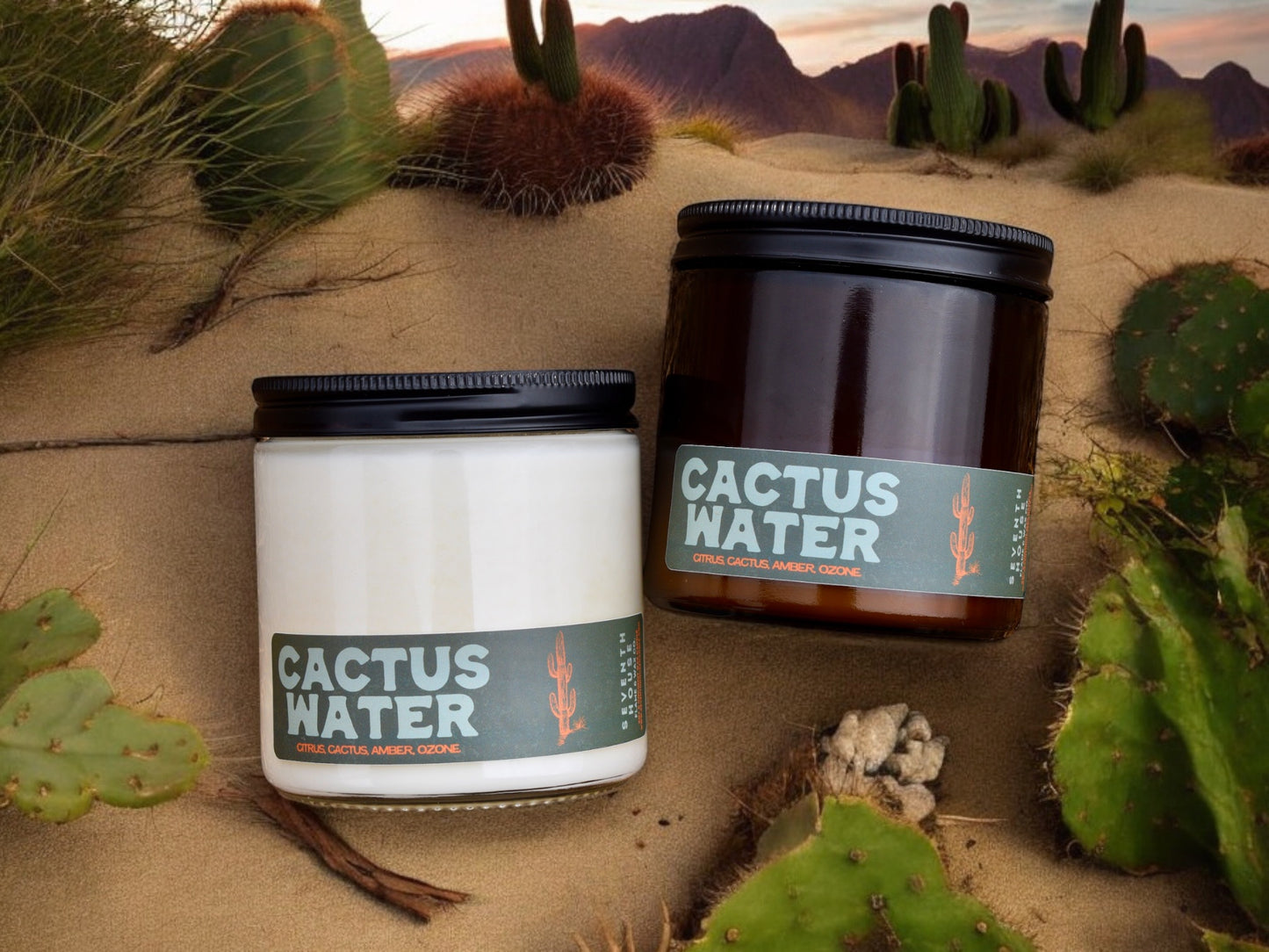 CACTUS WATER - Citrus, Cactus, Amber & Ozone