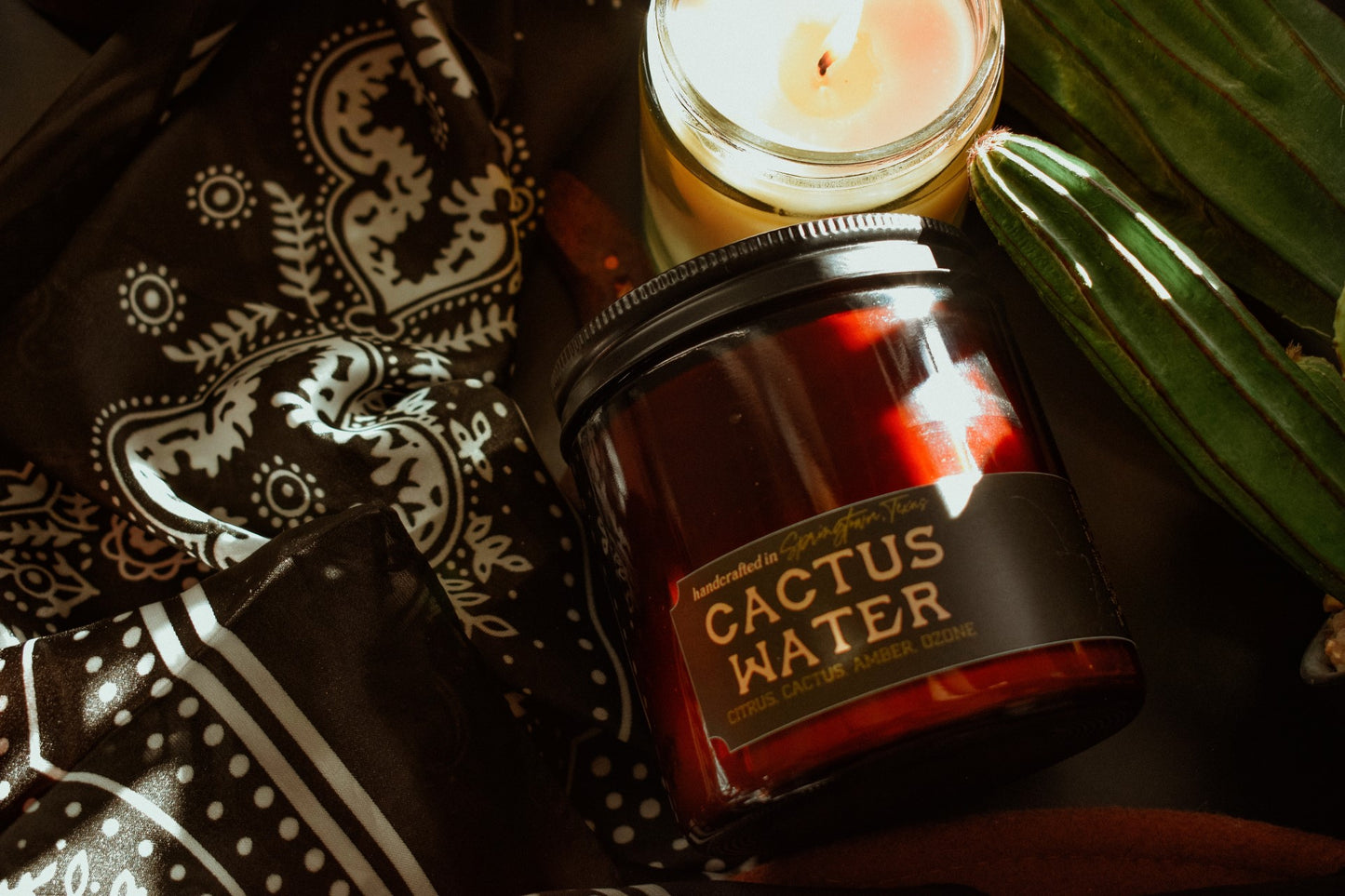 CACTUS WATER - Citrus, Cactus, Amber, Ozone